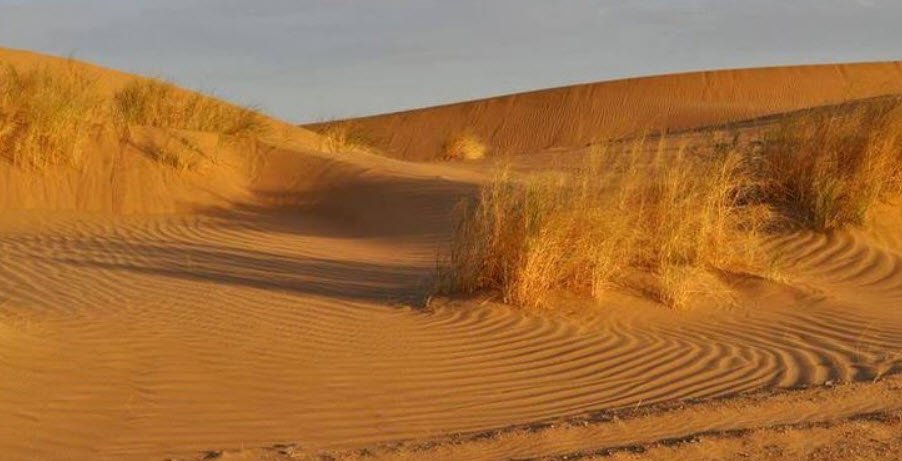 Registan Desert